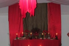 padilha2013